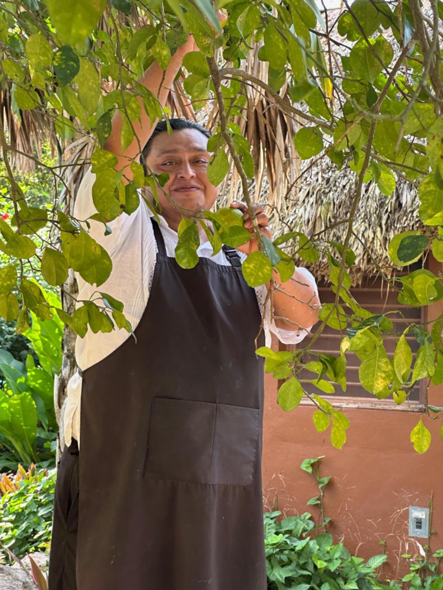 The Pickled Onion B&B And Restaurant Uxmal Santa Elena Exterior foto