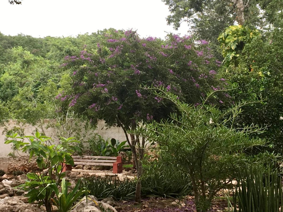 The Pickled Onion B&B And Restaurant Uxmal Santa Elena Exterior foto